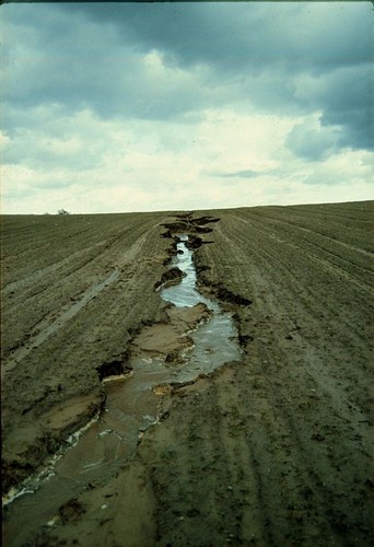 Un riachuelo erosionando activamente en un campo de cultivo intensivo/Katharina Helming