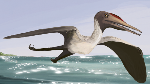 Recreación artística del holotipo espécimen de Pterodactylus antiquus, primer pterosaurio científicamente estudiado/Matthew P. Martyniuk