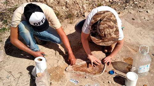 Un equipo del CONICET halló más de 120 trazas fósiles en una cantera de roca cuarcita en la Formación Balcarce. Fotos: gentileza equipo de investigación.