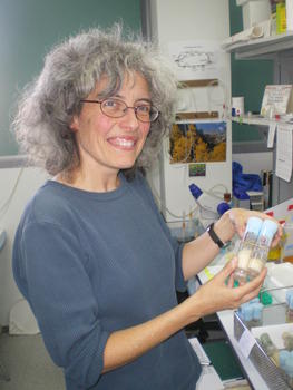 La investigadora del IBGM Dolores Ganfornina muestra las moscas del vinagre con las que se está trabajando. 