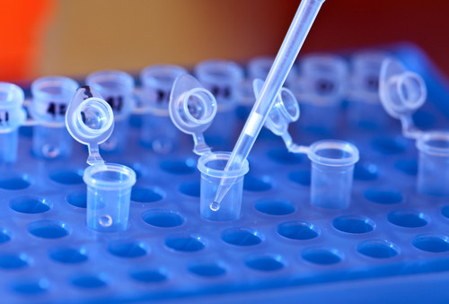 Los científicos han usado técnicas de secuenciación genética en las muestras de sangre de las pacientes. Foto: SNRE.