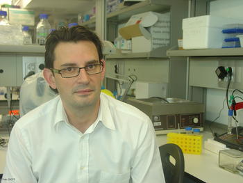 Óscar Marín, investigador del Instituto de Neurociencias de Alicante.