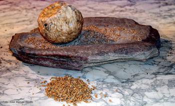 Molino neolítico de vaivén empleado para moler cereales.