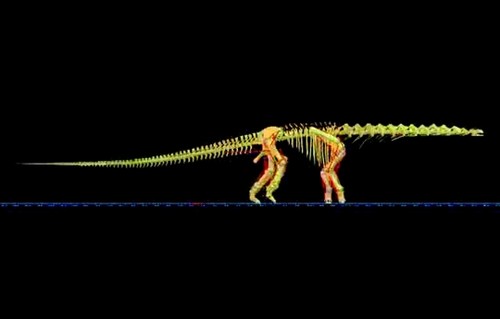 Reconstrucción digital del movimiento del Argentinosaurus. Foto: Bill Sellers, The University of Manchester.