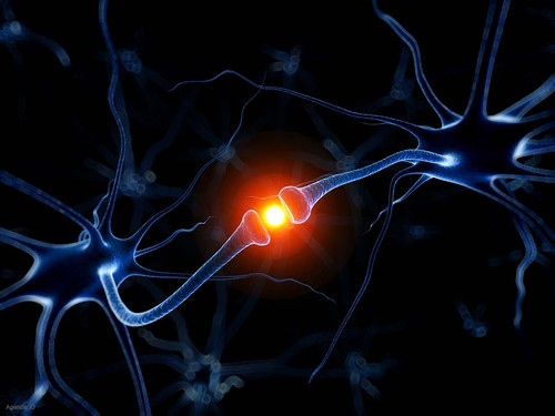 Neuronas.