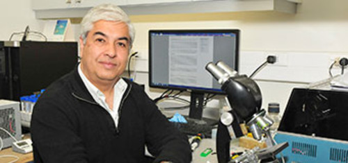 Juan Carlos Sáez, académico de la Facultad de Ciencias Biológicas Universidad Católica de Chile y del Centro Interdisciplinario de Neurociencia de Valparaíso -CINV-. FOTO: UC.