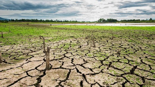 El Corredor Seco de Centroamérica sufre sequías recurrentes y otras amenazas hidroclimáticas producto de la variabilidad del clima. Foto: G.I.
