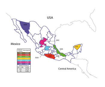 El mapa muestra los seis estados de México en los que se recogieron las muestras para el estudio de la diversidad genética de los mexicanos. (Imagen: PNAS) 