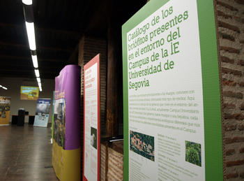 Paneles informativos de la exposición 'La Riqueza Ambiental'.