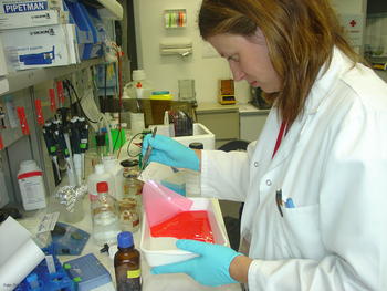Ana Velasco trabaja en el laboratorio.