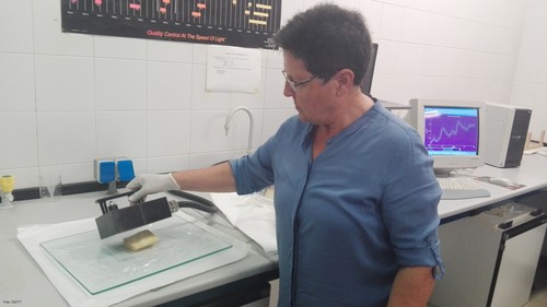 Inmaculada González analiza una muestra de queso.