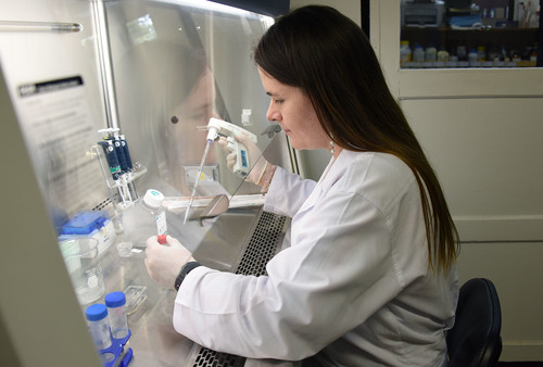 Científicas de la UCR estudian la mortal ameba ‘Naegleria fowleri’.