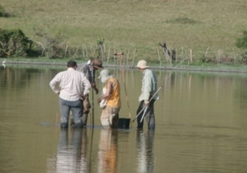 Los investigadores tomando muestras en el lago/Universidad de Leiden
