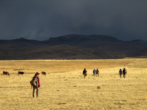 El equipo regresa al auto después de explorar el área durante el día. Municipio de Espinar, Departamento de Cusco, Perú. 2014/Federico Moreno. 