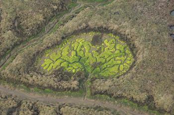 Fotografía aérea recogida en la exposición Armonía fractal de Doñana y las Marismas.