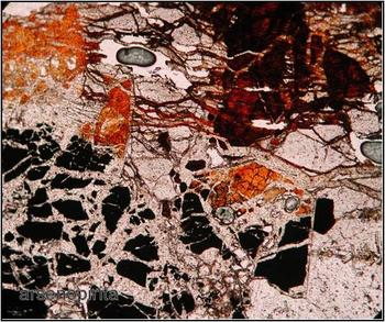 Productos de oxidación de la arsenopirita (negro): escorodita (incolora), óxidos de hierro hidratados y  goethita (rojizos) al microscopio óptico. Imagen: Ascensión Murciego.