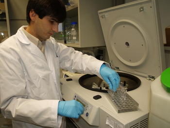 El investigador Daniel Primo trabaja en el laboratorio.
