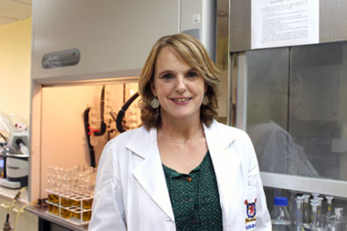 La académica del Centro de Estudios en Ciencia y Tecnología de los Alimentos (Cecta), Alejandra Torres.