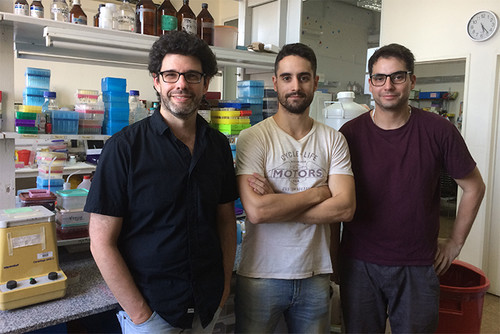 Los autores del avance científico, Lionel Muller Igaz (izq.), Julio Alfieri, Pablo Silva, investigadores del CONICET y de la UBA.