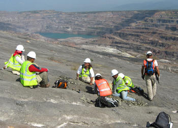 Paleontólogos desentierran fósiles de animales y plantas en la mina de carbón de Cerrejón, al norte de Colombia. (Foto: STRI)