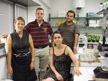 Alberto Sanz, coordinador de I+D del Itagra (a la izquierda), junto a los investigadores José Manuel Miguel, Susana Luis del Río (a la izquierda) y Berta Gil Pérez. 