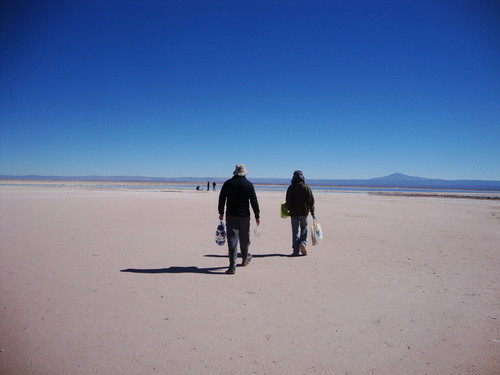 Salar de Atacama (FOTO: UA).