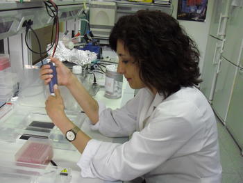 Mercedes Durán, responsable de la línea de genética del cáncer colorrectal del IBGM.