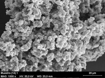 Fotografía de un producto final por microscopio SEM (FOTO: Grupo de Procesos a Alta Presión).