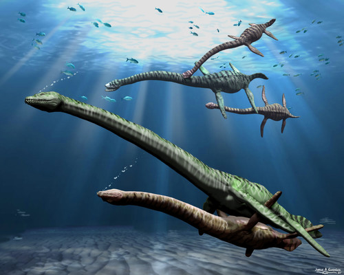 'Kawanectes lafquenianum', un reptil marino del grupo de los plesiosaurio que vivió a fines del Cretácico/Jorge González