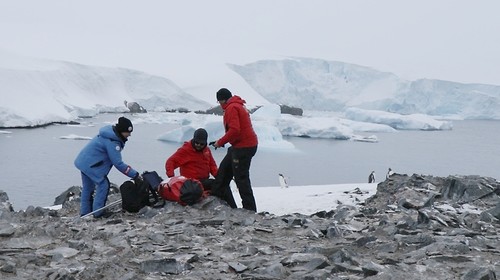 El proyecto liderado por el académico del Instituto de Ciencias Biomédicas de la Universidad de Chile, Gonzalo Barriga, busca identificar virus en aves de la Antártica.