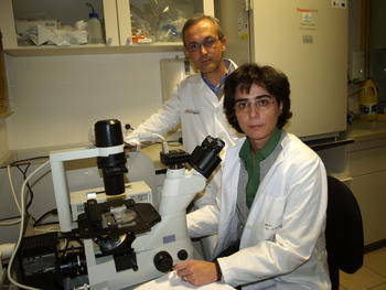 Los investigadores José Luis Rodríguez Barbosa y María Luisa del Río, en un laboratorio del Instituto de Biomedicina de la Universidad de León (Ibiomed).