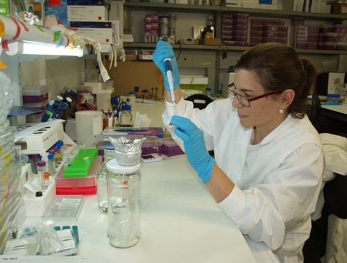 La investigadora Laura Calvo, en el laboratorio.