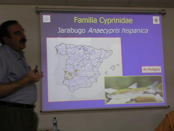 Diapositiva del Jarabugo.
