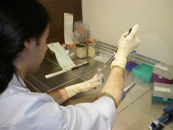 El investigador del Centro de los Alimentos Carlos Moro trabaja con una muestra.