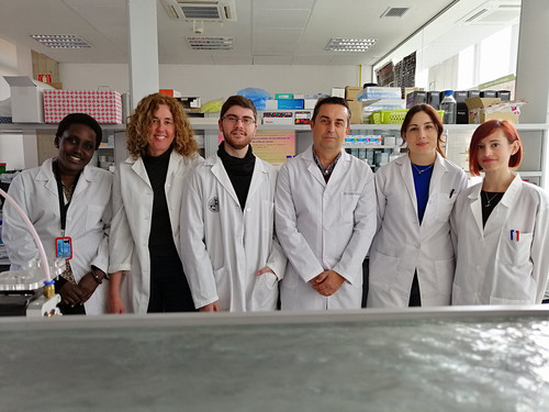 El equipo de investigación de las universidades de Granada y Jaén que ha llevado a cabo este trabajo. Foto: UGR.