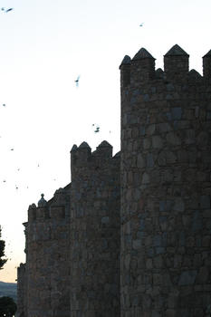 Estorninos en la muralla de Ávila