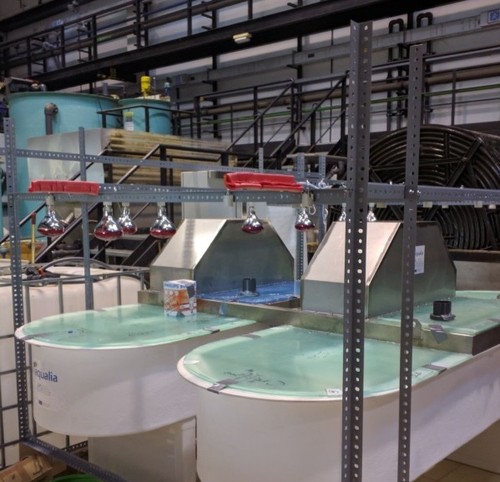 Imagen de los fotobiorreactores tipo carrusel instalados en la planta de tratamiento de aguas residuales de la URJC antes de iniciar su operación (Centro de Apoyo Tecnológico, Campus de Móstoles de la URJC)