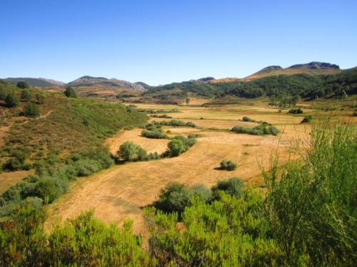 Renaturalización de terreno en el alto Pisuerga (Palencia)/Alfonso Pisabarro