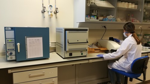 Una de las investigadoras del equipo realizando pruebas en el laboratorio./F. Descubre.
