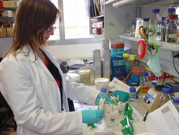 Una investigadora, en el laboratorio de Felipe Pimentel.