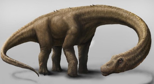 Recreación artística de Dreadnoughtus. Imagen: Mark Klingler, Museo Carnegie de Historia Natural.