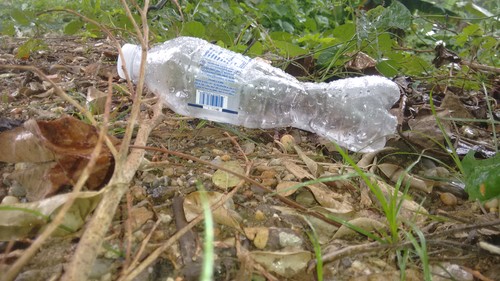 Residuo de plástico PET. FOTO: CONACYT