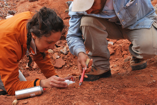 La Dra. Cecilia Apaldetti y el Tec. Diego Abelín (descubridor de Ingentia prima) desenterrando un dinosaurio en los niveles Triásicos (~205 millones de años) de Balde de Leyes, Provincia de San Juan, Argentina
