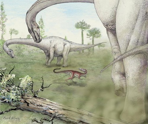 Recreación artística de Dreadnoughtus. Imagen: Mark Klingler, Museo Carnegie de Historia Natural.