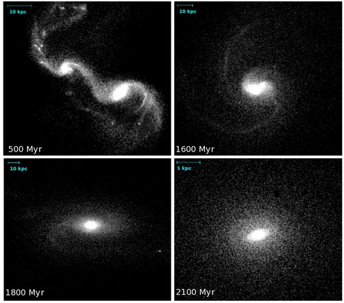 Cuatro instantes de la simulación de la formación de una galaxia lenticular mediante la fusión de dos galaxias espirales.