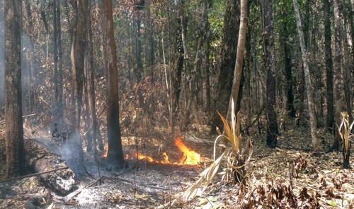 Incendio en la Amazonia/Aline Pontes-Lopes/Inpe