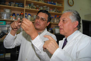 Mg. Luis Gómez junto al decano de la FMV, Dr. Juan Espinoza, observan el parásito (FOTO: UNMSM).