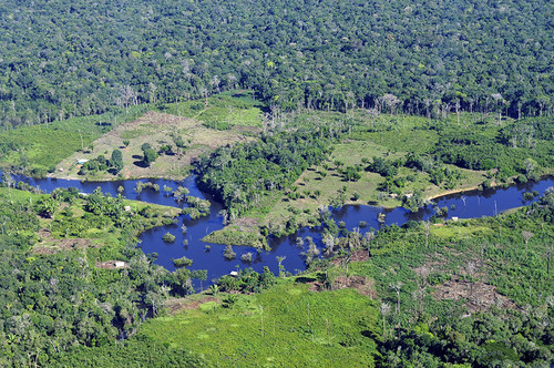 Amazonia peruana/CIAT