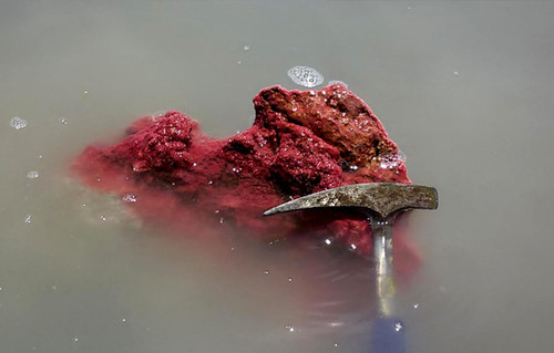 En la laguna se observan cristales de Gaylusita, su particular color rojo lo dan arqueas que forman biofilms adheridos al mineral. Foto: gentileza investigadores. FOTO: CONICET