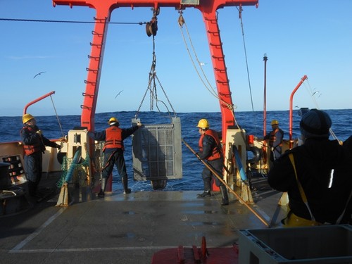 Inicio de maniobra de pesca con rastra en la zona cercana al cañón submarino de Mar del Plata, a 1245 metros de profundidad y a más de 15 horas de navegación de la Ciudad de Mar del Plata.  Créditos: Jonathan Flores.